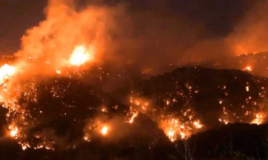 وزارة البيئة: مؤشر خطر اندلاع الحرائق يرتفع