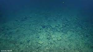 تحت عمق 1000 متر.. فيديو لـ"مفاجأة" في قاع المحيط
