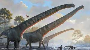 الكشف عن الديناصور صاحب أطول رقبة.. وزنه عشرات الأطنان