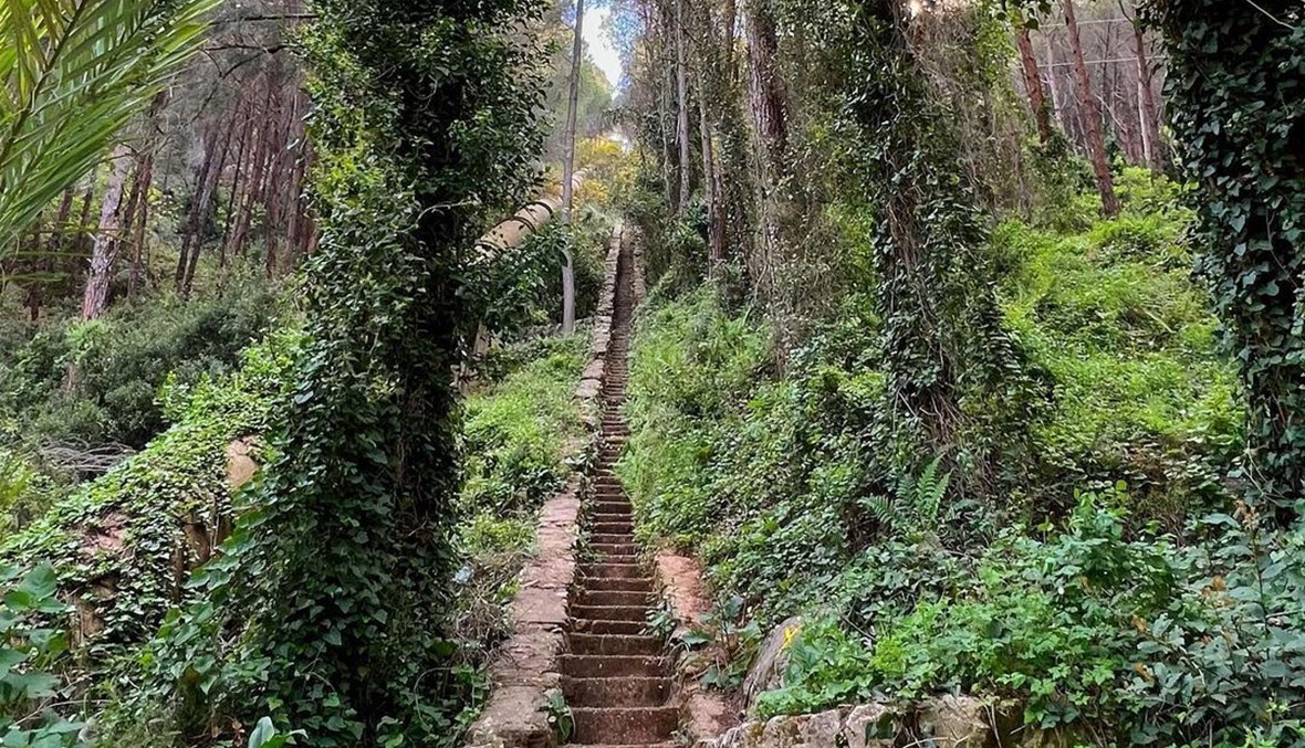 الـHiking متنفس رائع في لبنان... الأسعار ومسارات المشي