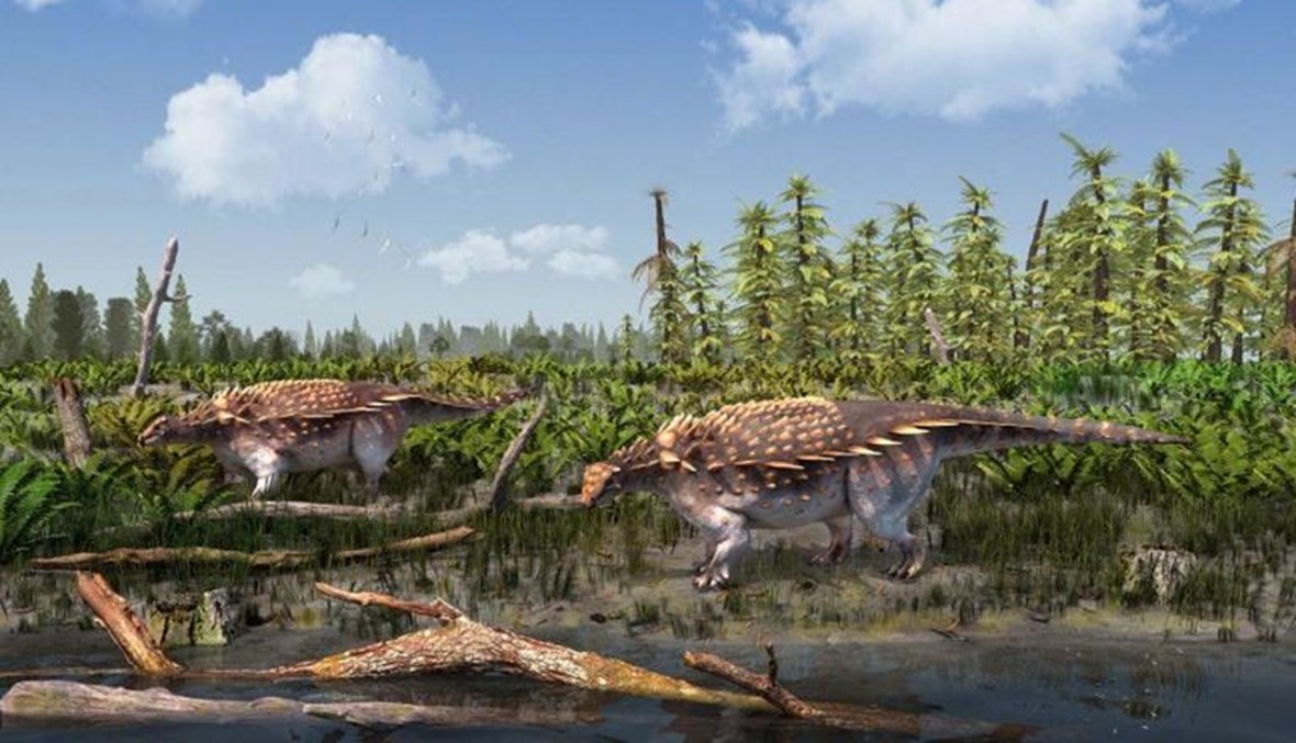 "فيكتابلتي بارتي"... نوع جديد مُكتشف من الديناصورات عاشت قبل نحو 100 مليون سنة