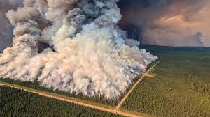 ما تأثير حريق دوني كريك الهائل على الغابة الشمالية؟