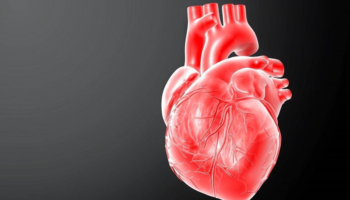 أمراض القلب والأوعية الدموية تقتل 10 آلاف شخص يومياً في أوروبا