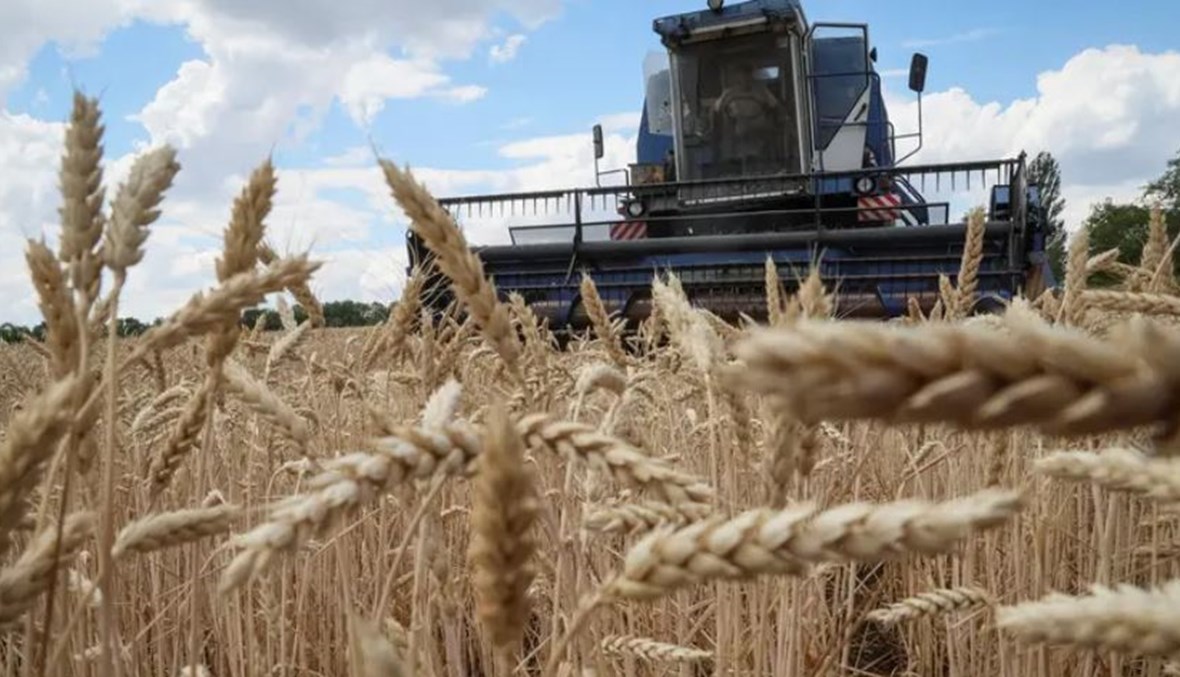 صادرات أوكرانيا من الحبوب قفزت 67% في أيار