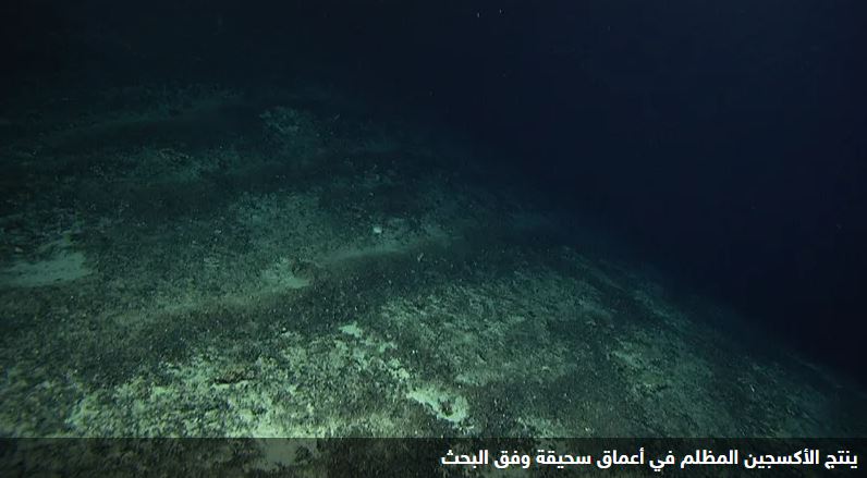في قاع المحيط.. علماء يكتشفون "الأكسجين المظلم"