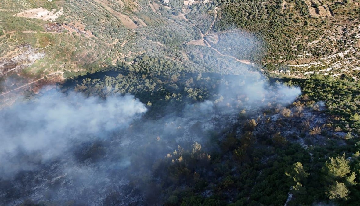 حرائق "كارثية" تلتهم غابات الصنوبر في عكار... وطوافات الجيش تؤازر جهود فرق الإطفاء